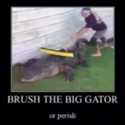 You can barely read the small text at the bottom, I’d say about 3 more reposts until it’s uncomprehensable.