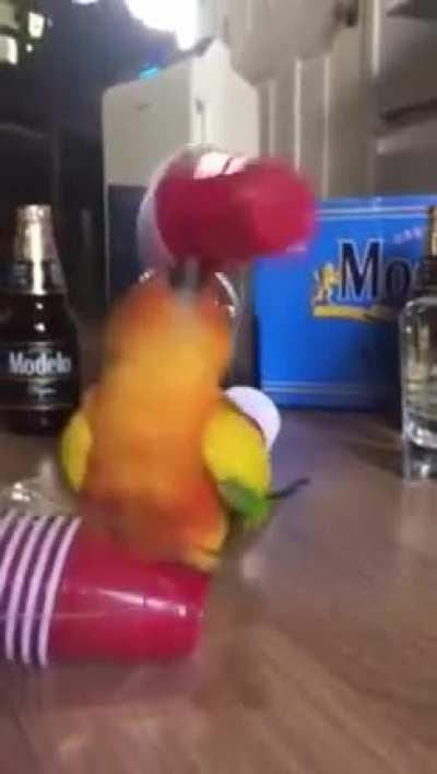 A matrix tá estranha hoje chat