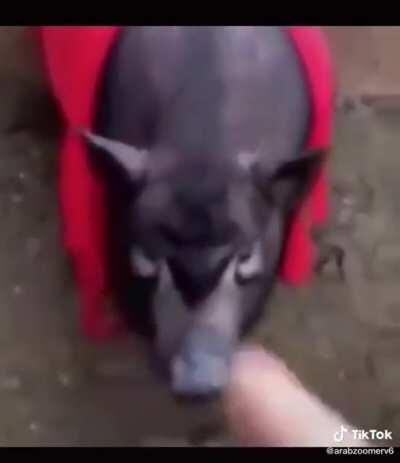 confirmation video that shows erdogan(chik) is not a human being but a RUSSIAN PIG 😱😱😱😱😱😳😳😳😳😳😳😳😳😳😳😳😳😳😳😳😳😳😳😳😳😳😳😳😳😳😳😳😳😳😳😳😳😳😳😳😳😳😳😳😳😳😳😳😳😳😳😳😳😳😳😳😳😳😳😳😳😳😳😳😳😳😳😳😳😳😳😳😳😳😳😳😳😳😳😳😳😳😳😳😳😳😳😳😳😳😳😳😳😳😳😳😳😳😳😳😳😳😳