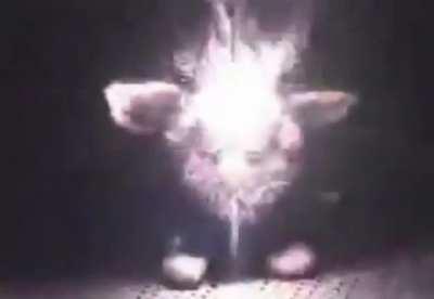Furby vs electricity