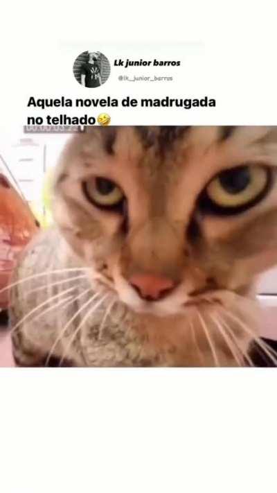 🤨🤨🤨🤨🤨🤨🤨🤨