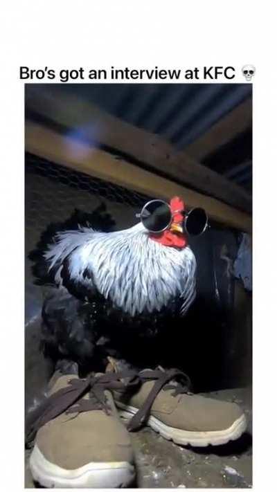 Another chicken that will take the interview will he pass?