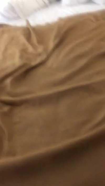 Longdicking in Miami hotel.