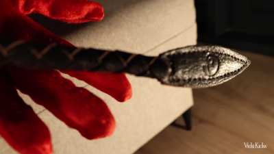 Just some sensual whip play :)