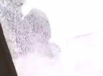 POV: she’s said she was 12