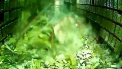 Idiot almost kills himself and coworkers (No Deaths)