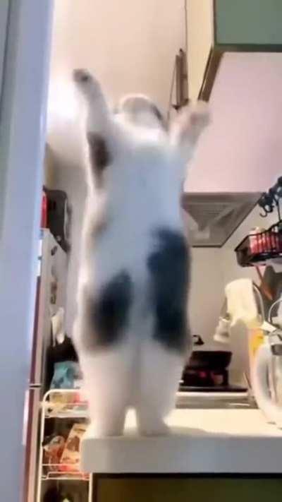 whhhhhaaaaaaaat? - Nice moves.