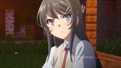 [OC] Rascal Does Not Dream of Minecraft 3