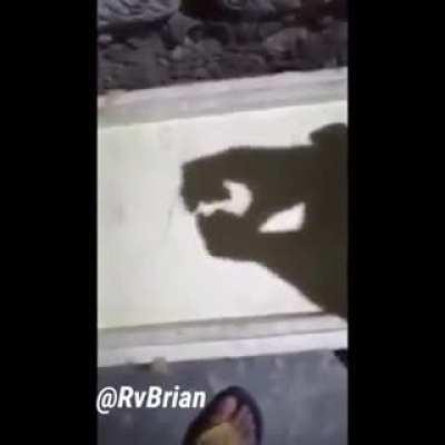 Well that’s a love story!