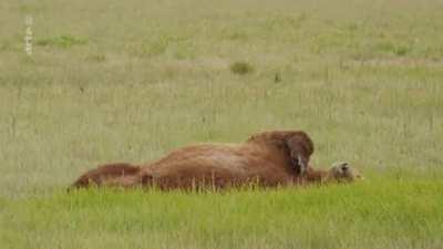 day was busy and I'm so tired!