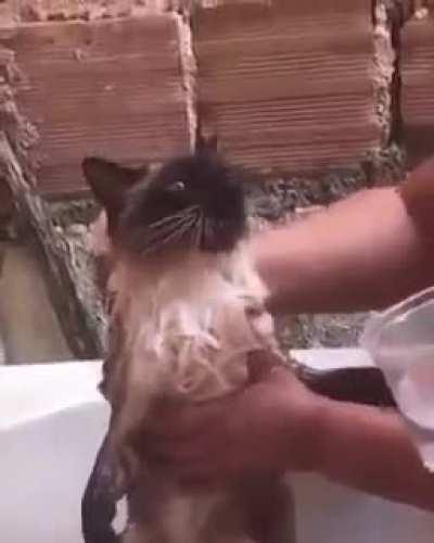 Ficou tão magoado que começou a falar.