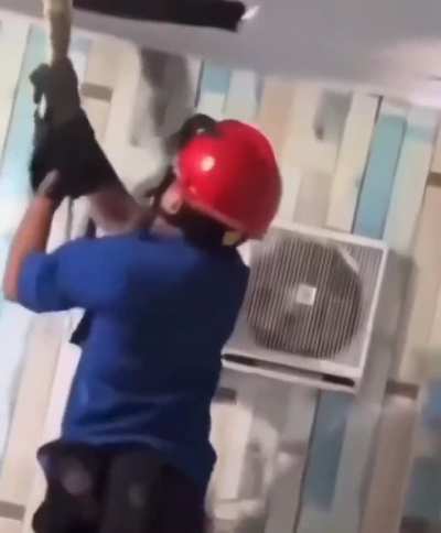 Got a giant lizard in your ceiling?