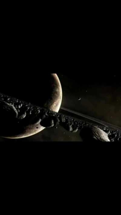 Lo que pida mi foca terrestre 🤣