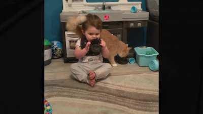 1 year update on tiny human and cat best friends :)