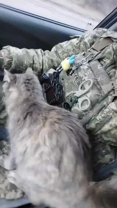 Soldiers who helped Lucy give birth relocate her and her kittens away from the frontlines