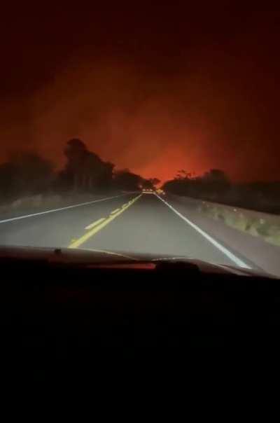  Pantanal em chamas no governo do amor.Culpa do ódio implantado em 2023, cadê os artistas da globe e a Greta ?