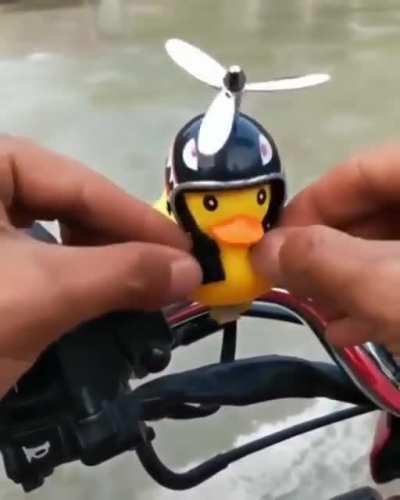 My life has simply improved as a result of seeing this.