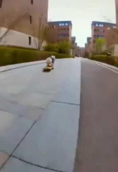 Skateboarding Dog