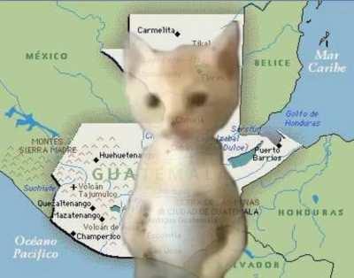 Odia a Guatemala 😡😡😡