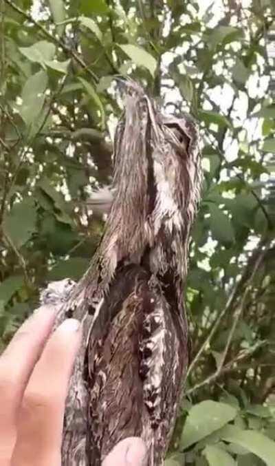 Awesome..............