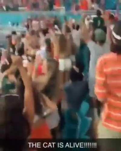 Hold my beer while I catch this cat