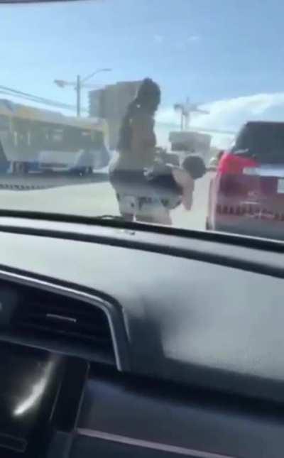 Woman steals another persons dog out of road rage, and swings it around.