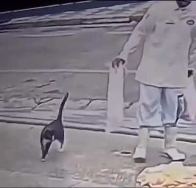 God was like:sorry i almost killed you fren, here is 5kg of chicken to make up for it