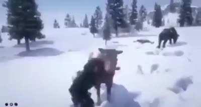 WTF UN VEGANO VIENDO QUE UNA VACA SE COME SU PASTO