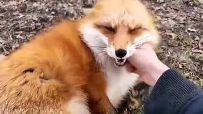 Just put the sound on and enjoy (found in reddit somewhere)