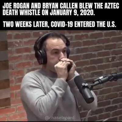 Blame Joe Rogan