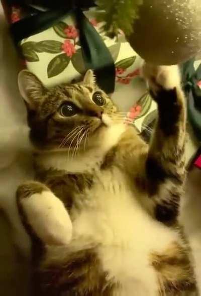 Ornament of Hypnosis: +500 enemy control, -200 enemy evasiveness, +500 precision, +100 attack