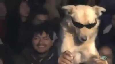 momento latino america