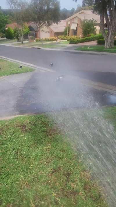 Hot today in Melbourne