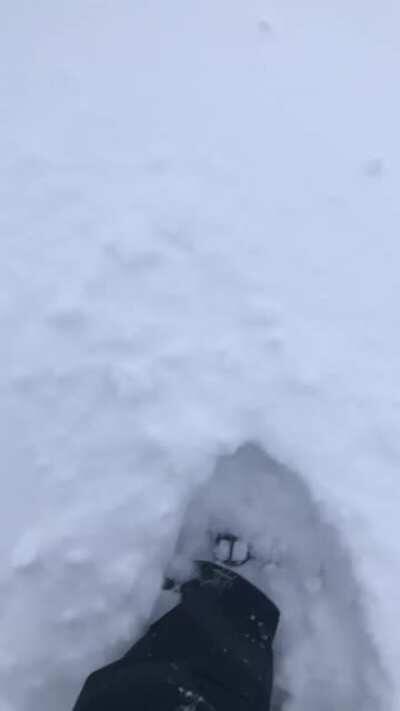 We out here enjoying the snow ❄️❄️