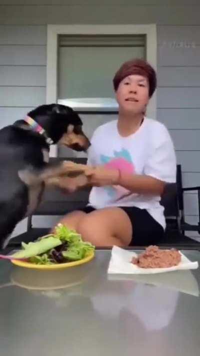 Vegetarian 🐕🐕 By choice 🤪🤣