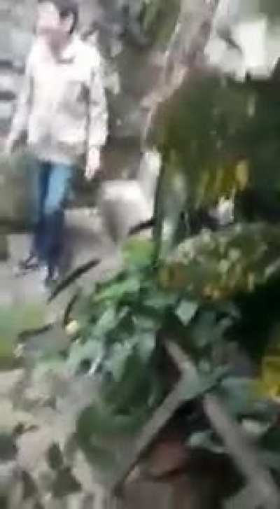 gasosas - Video #2370