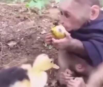 Little man hopped up quick