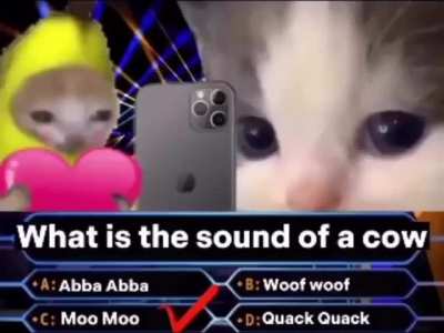 who wants to be a wunkionaire?