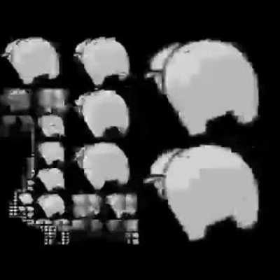 Who up doodooing they fard? 