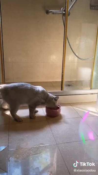 I need a whole season of this live action anime