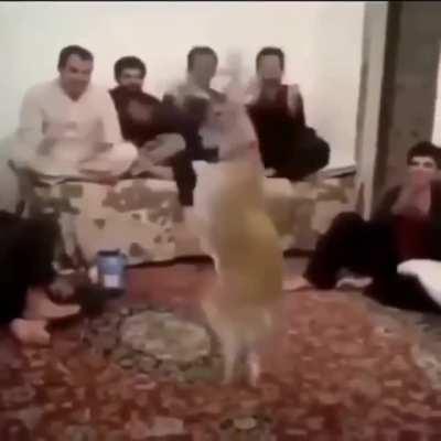 Chopper in every party