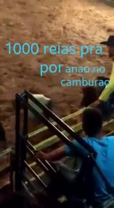 &Eacute; s&oacute; colocar o an&atilde;o dentro do lat&atilde;o e pronto, ganhou 1000 reais. Parece f&aacute;cil n&eacute;?