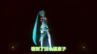 經典回顧河南人