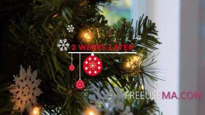 Spirit Of Christmas Is Family & Freeuse