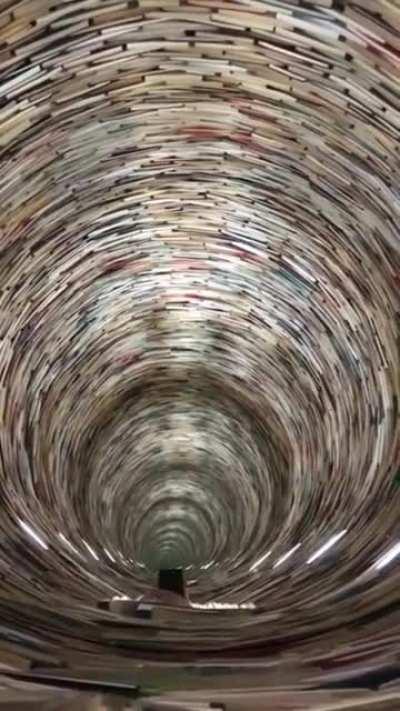 Infinite book tower in Prague. There's a mirror on the bottom and top of it. It's supposed to represent the infinity of learning.