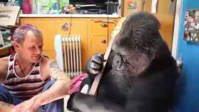 My favorite musician!!