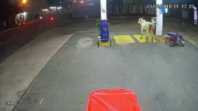 He Found The Biker Who Owed Him Money