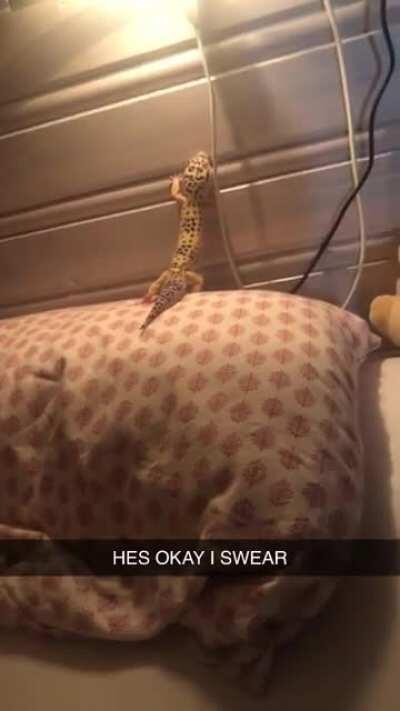 I am a horrible father and my son is an idiot.