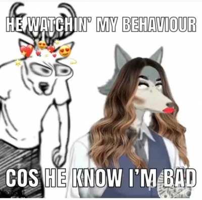 Legosi Tings