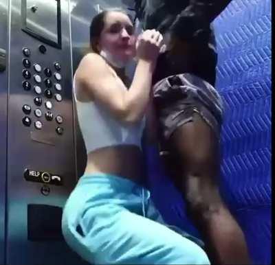 She Was Almost Caught by Her Boyfriend While Sucking Bbc in Elevator